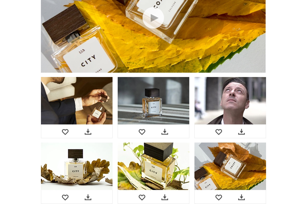 Event Website & Materials